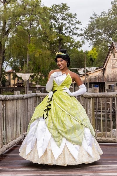 Princess Tiana New Look