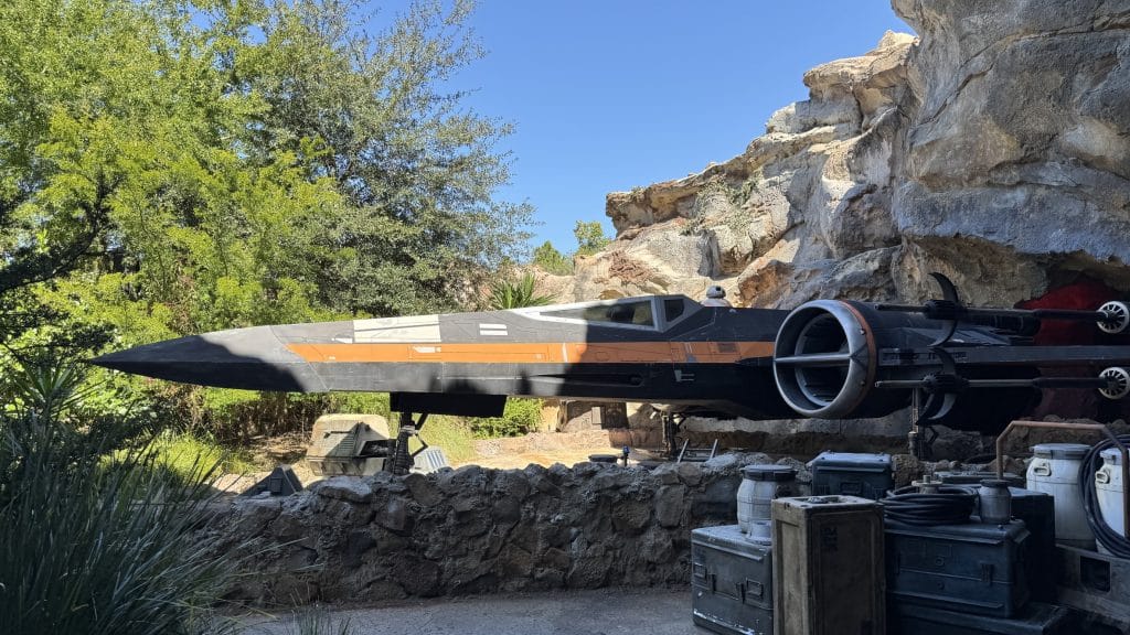 Disney World Without Lightning Lane