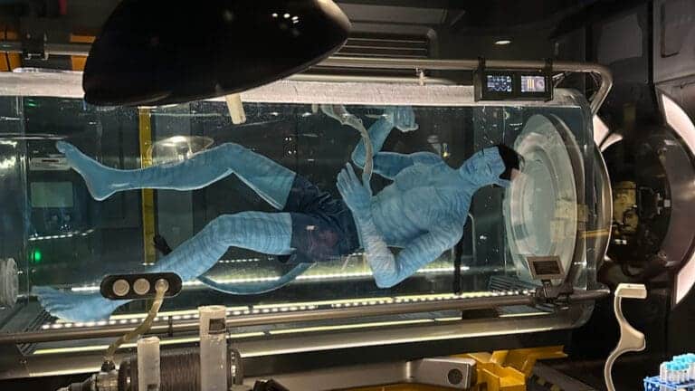 Coming Soon: The Avatar Experience at Disney California Adventure