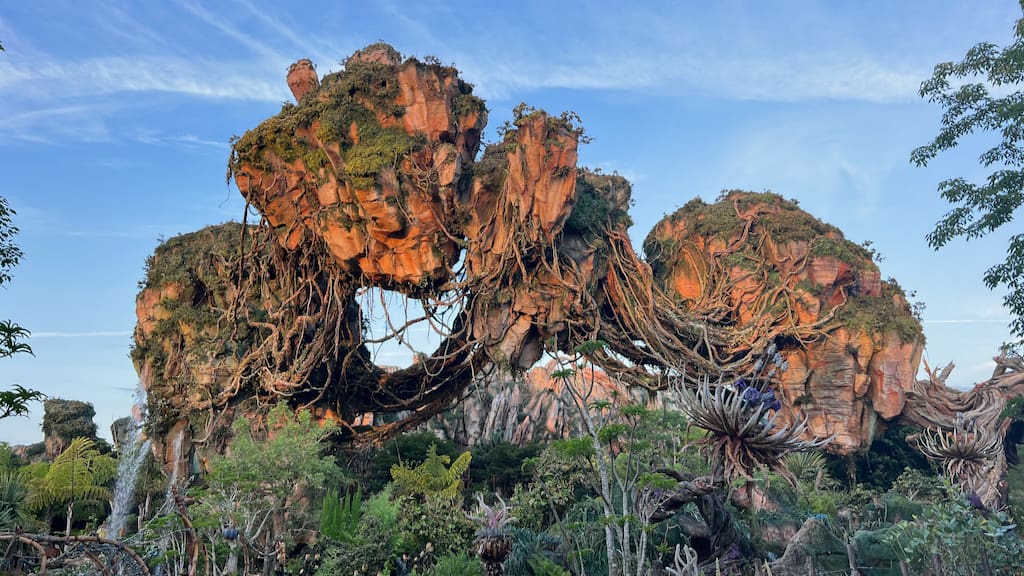 Animal Kingdom update