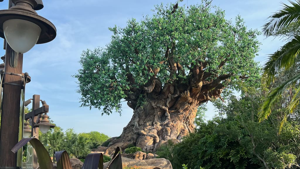 Animal Kingdom Rope Drop