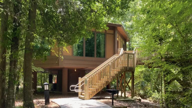Saratoga Springs Treehouse Villas Refurbishment | Disney Vacation Club