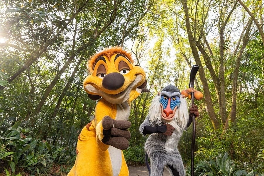 Lion King 30th Anniversary Celebration