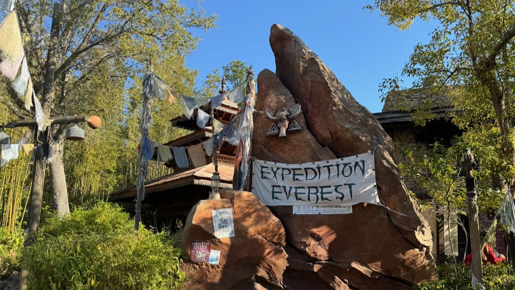 Single Rider Lines at Disney