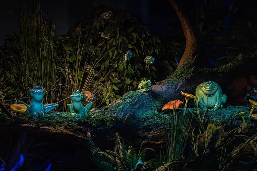 Newest Critters in Tiana's Bayou