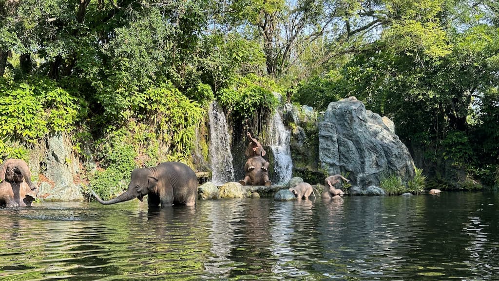 Work on Jungle Cruise