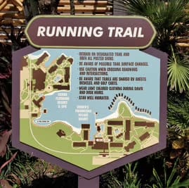 poly YyvqyQKWV2FE15D7.jpg Disney's Virtual Queue