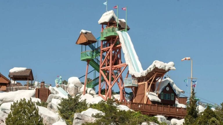 Walt Disney World Water Park Seasonal Pass is Back