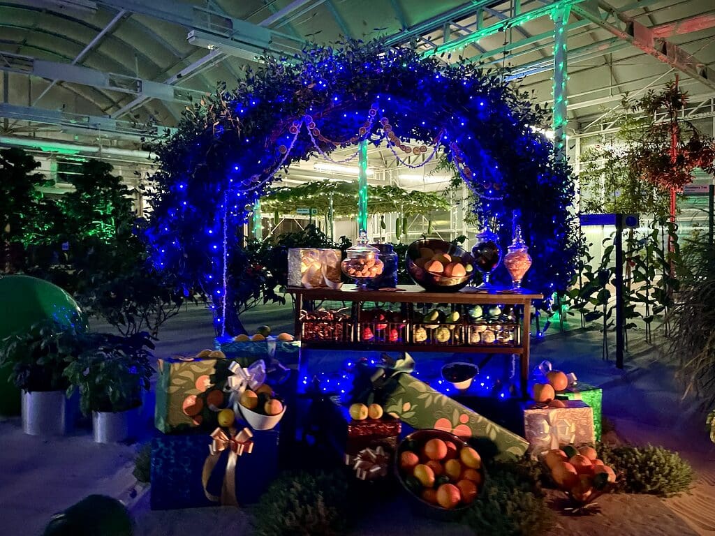 Behind the Seeds Glimmering Greenhouses