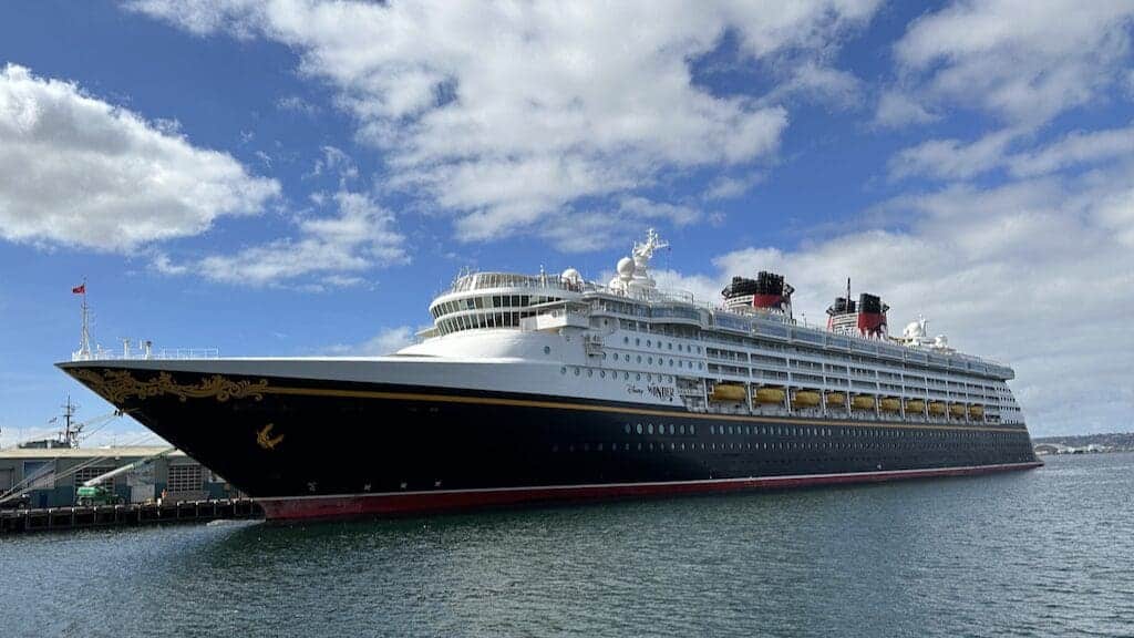 Disney Cruise Muster