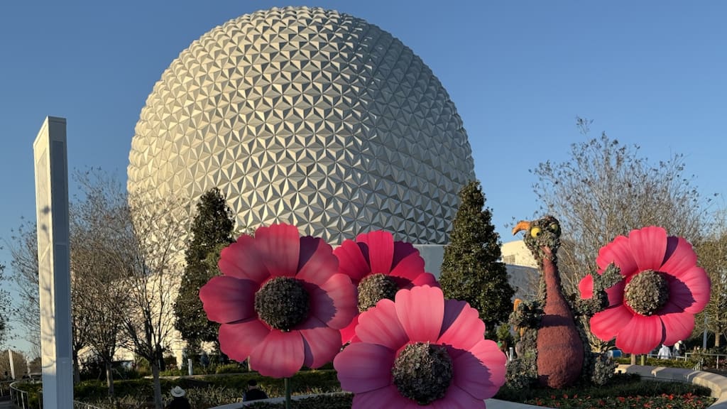 Pack for Disney World