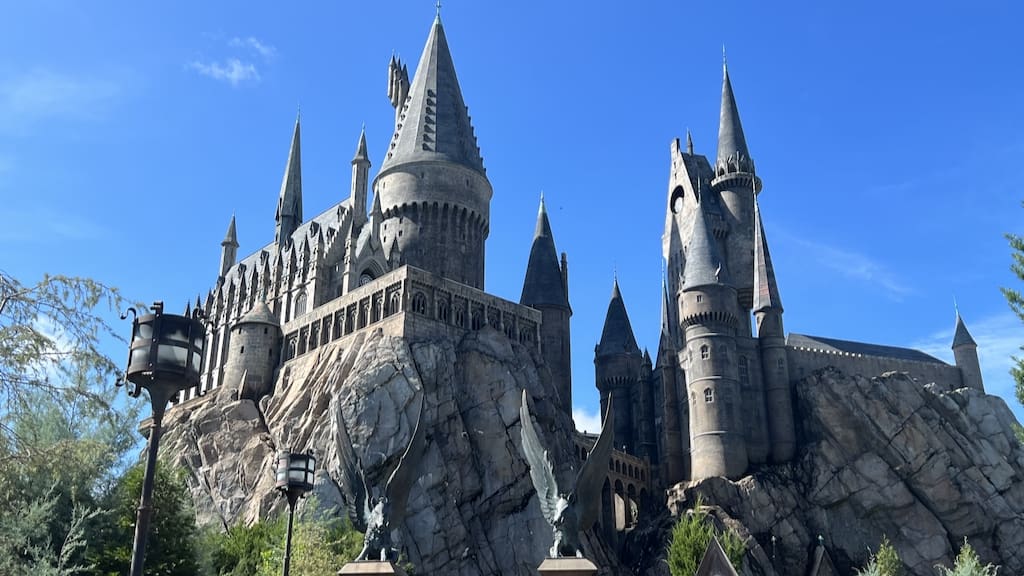 Harry Potter in One Day