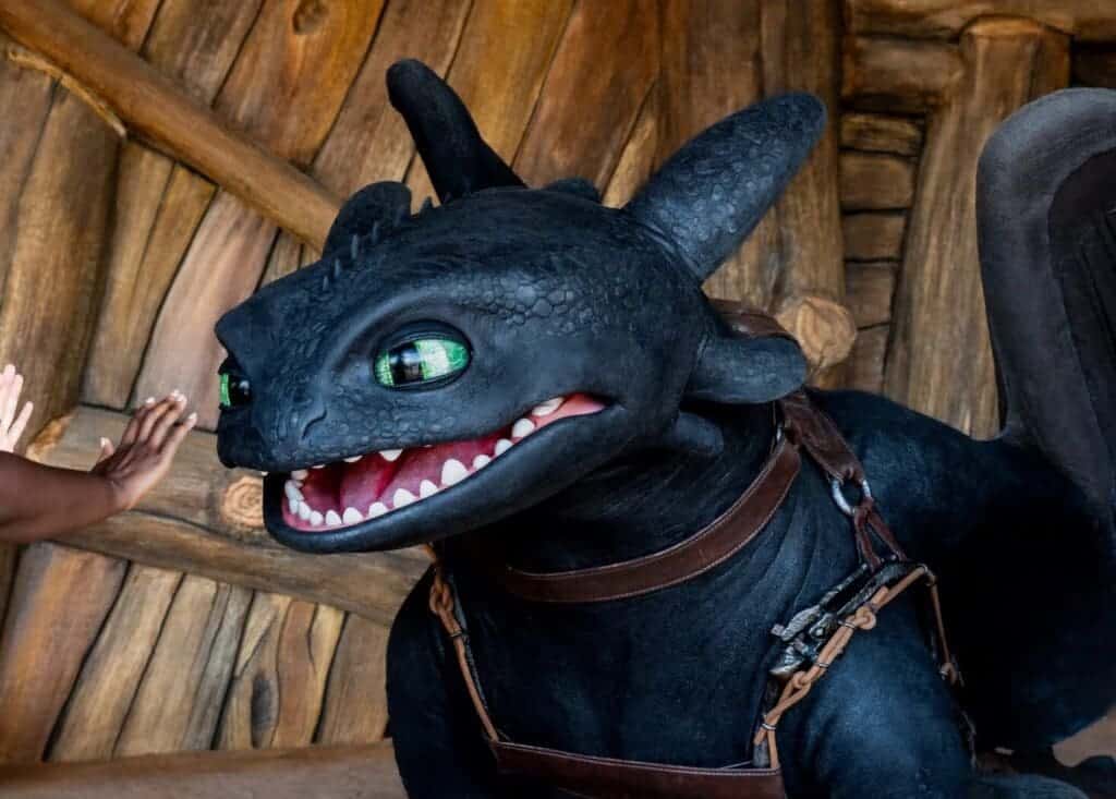 Hiccup and Toothless Meet and Greet