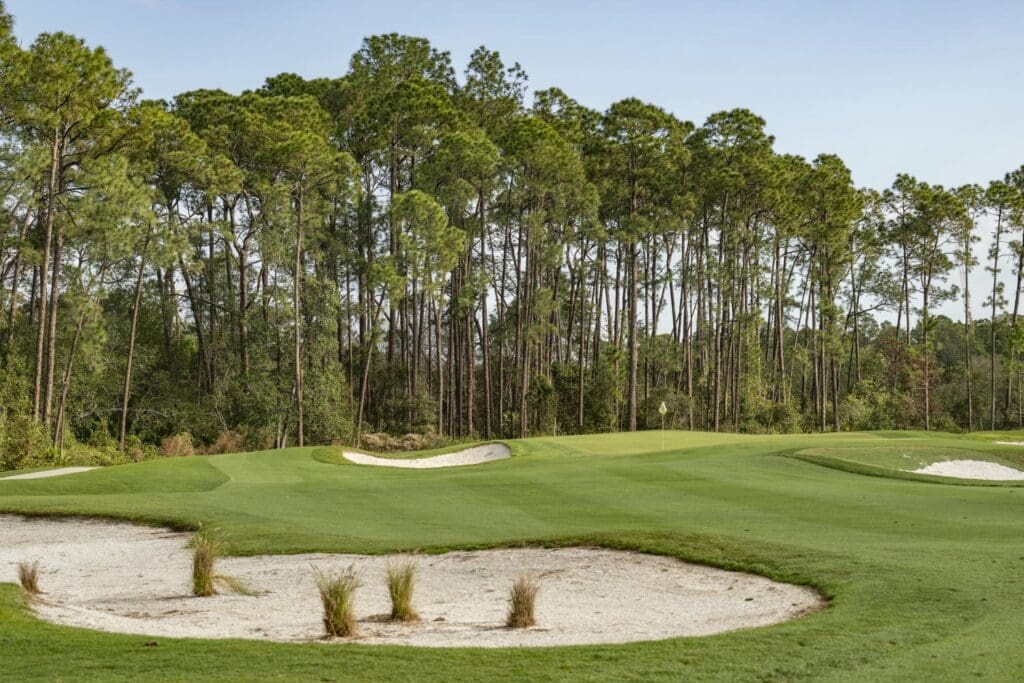 2F37B475 7B18 4027 80F5 826D81F152E1 Magnolia Golf Course Redesign