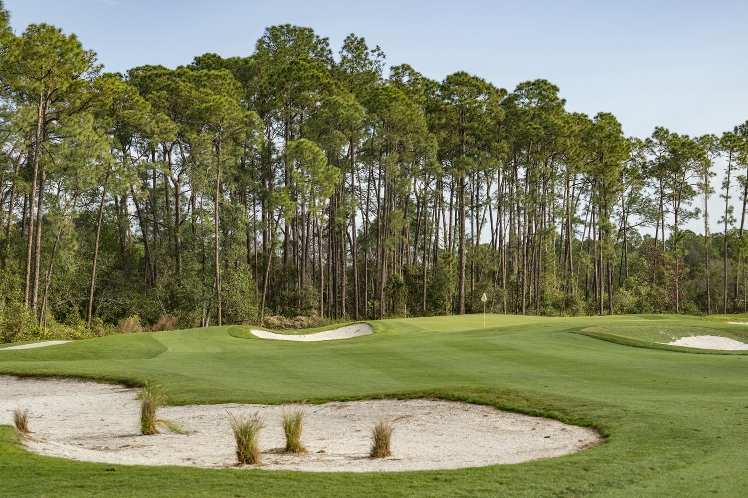 2F37B475 7B18 4027 80F5 826D81F152E1 Magnolia Golf Course Redesign