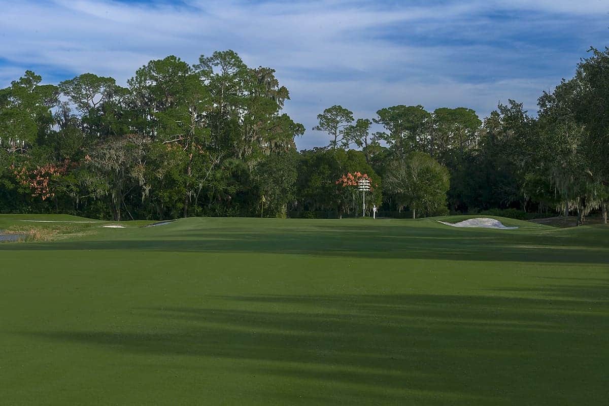 2F9810BA DE16 4DB2 A8D1 37CD4F0F960B Magnolia Golf Course Redesign