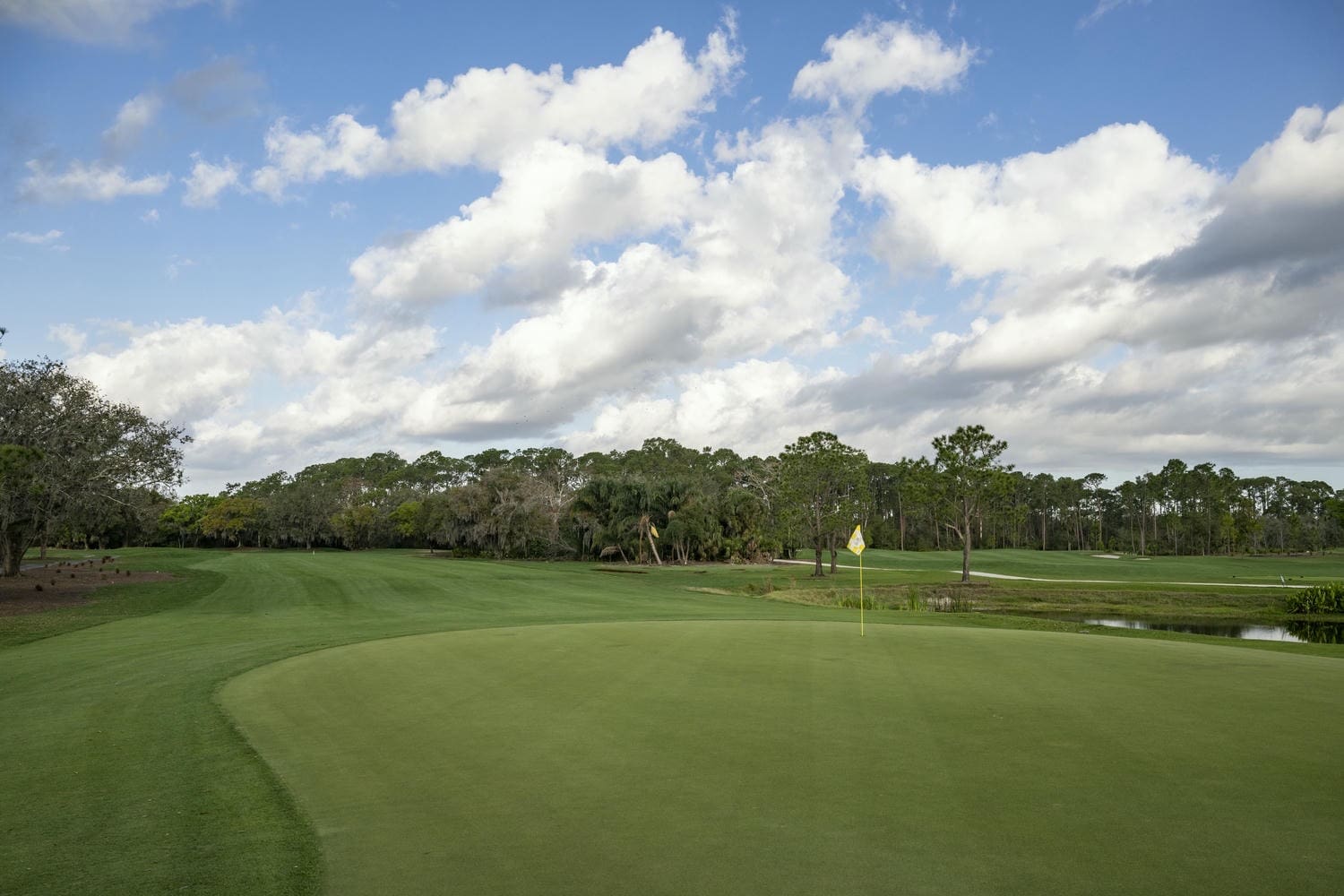 3958869C C662 4D15 ADBE CC8D56A0AEE5 Magnolia Golf Course Redesign