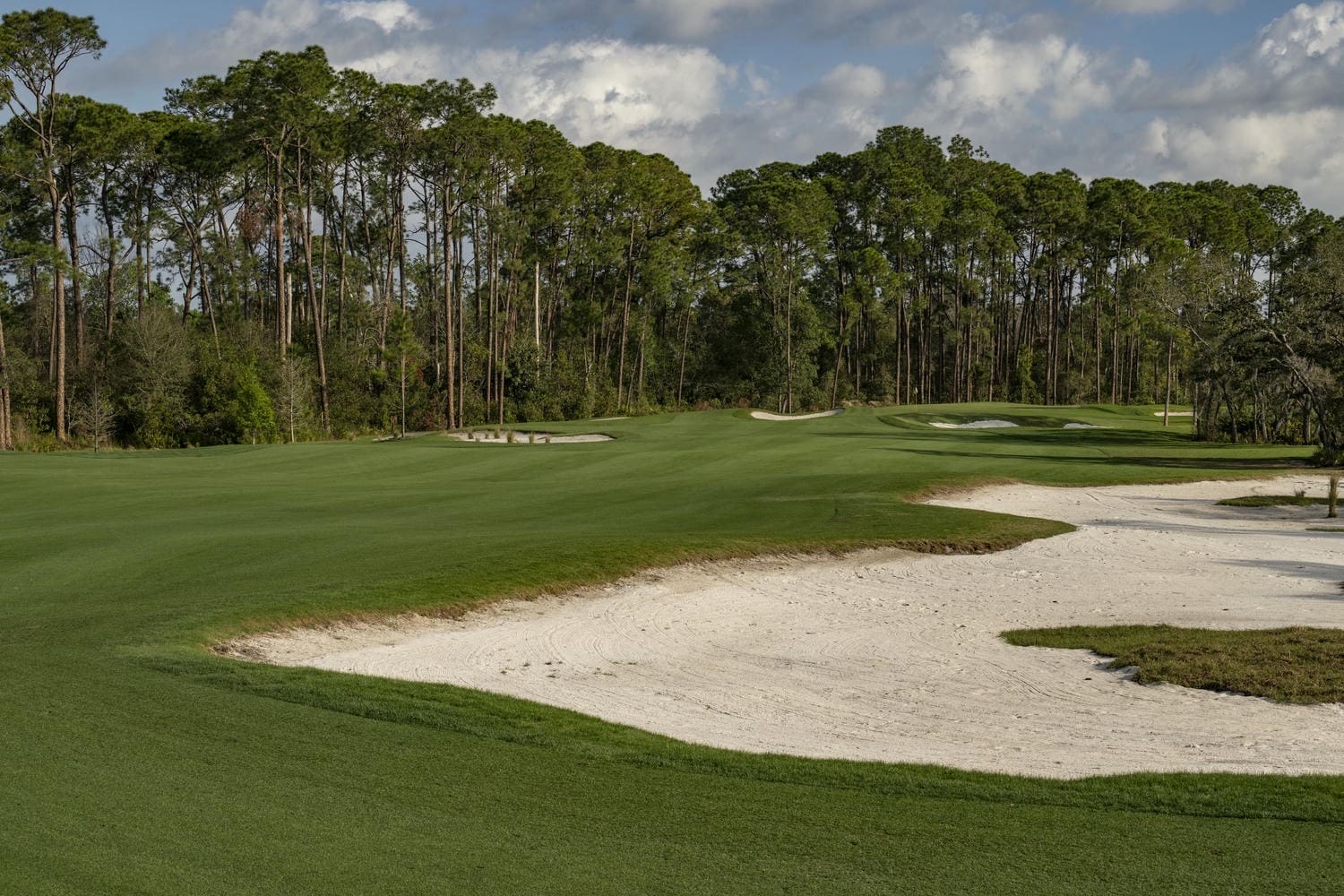 54E381F4 6042 4BB4 A675 35CBEFDA13EE Magnolia Golf Course Redesign