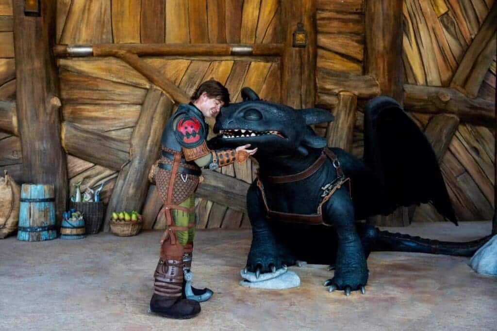 Hiccup and Toothless Meet and Greet