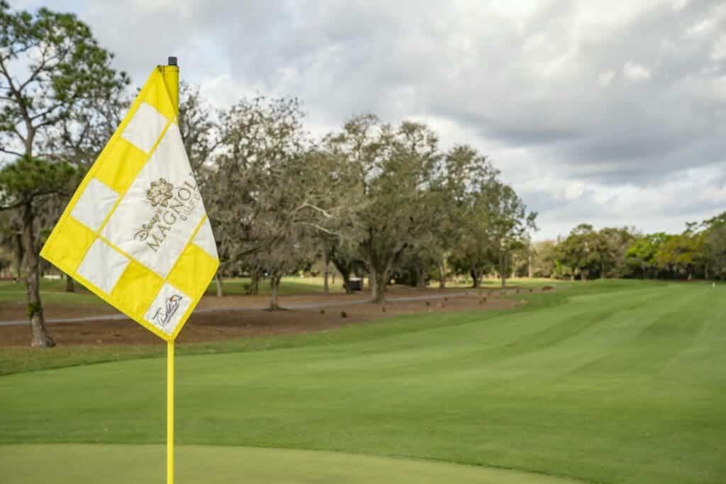 A8FCD1A0 C639 4F86 9BF3 6D9DBE7F6E9F Magnolia Golf Course Redesign