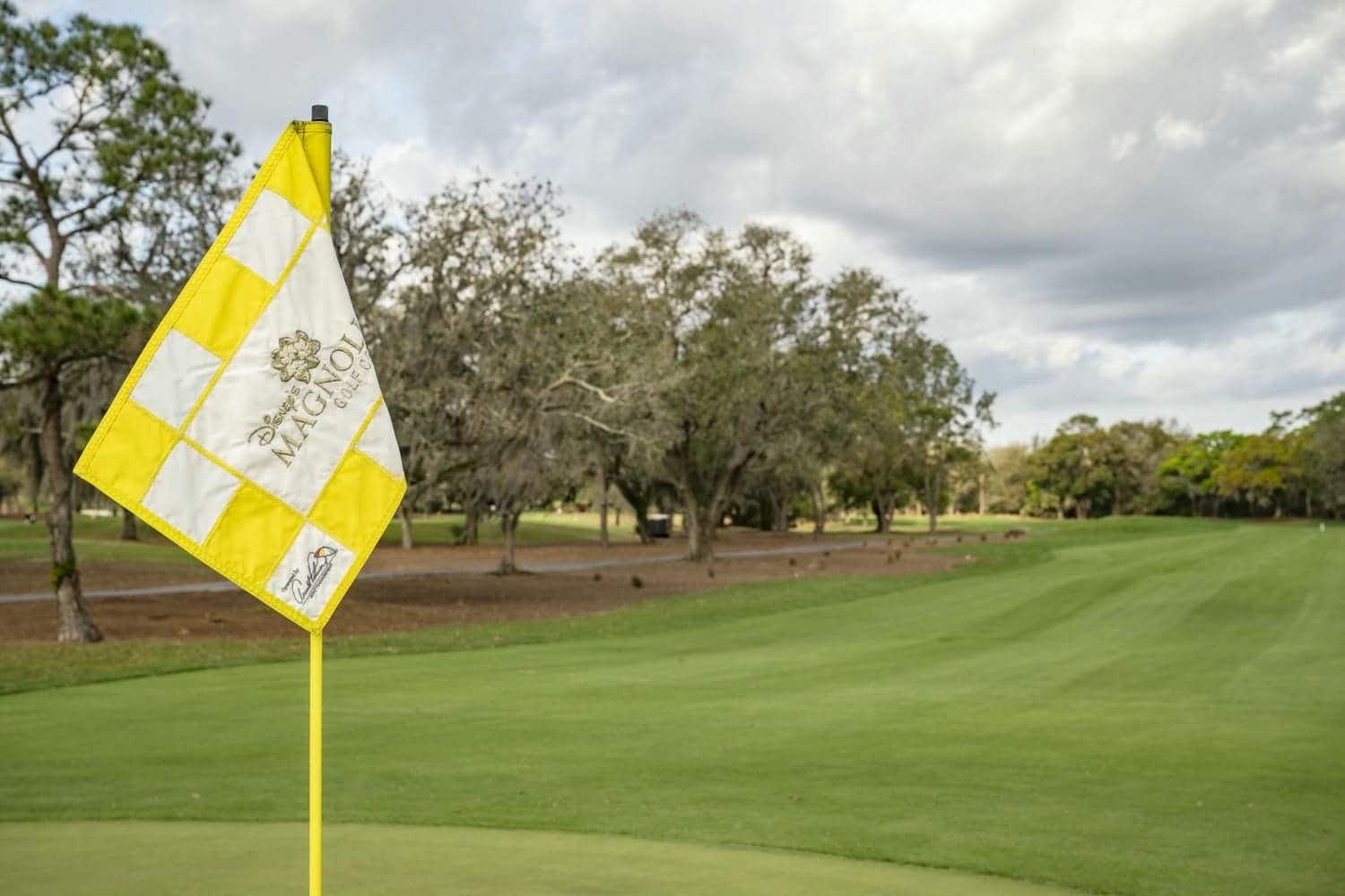 A8FCD1A0 C639 4F86 9BF3 6D9DBE7F6E9F Magnolia Golf Course Redesign