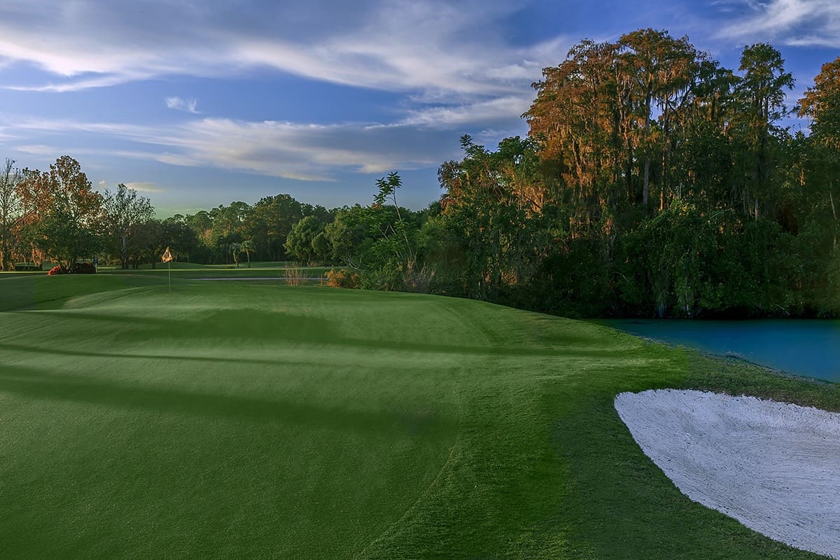 C8289528 DB23 414B A104 707FB131B5B9 Magnolia Golf Course Redesign