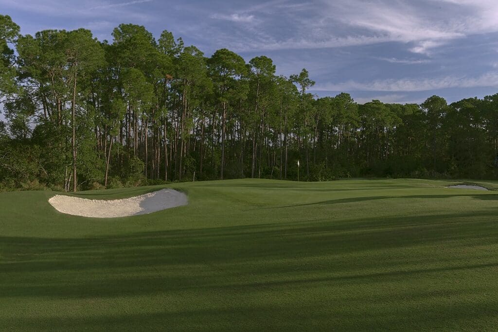 E0AE6FD5 C639 450C A147 CD048F177414 Magnolia Golf Course Redesign