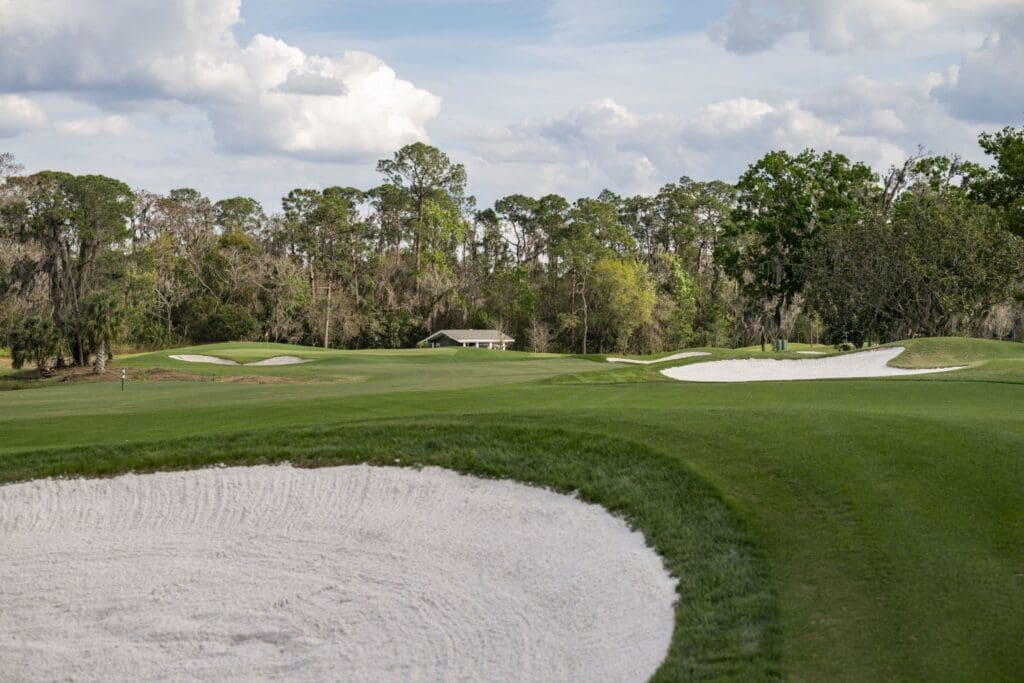F06C3168 1EBD 4953 B9B7 76091B2FD5A5 Magnolia Golf Course Redesign