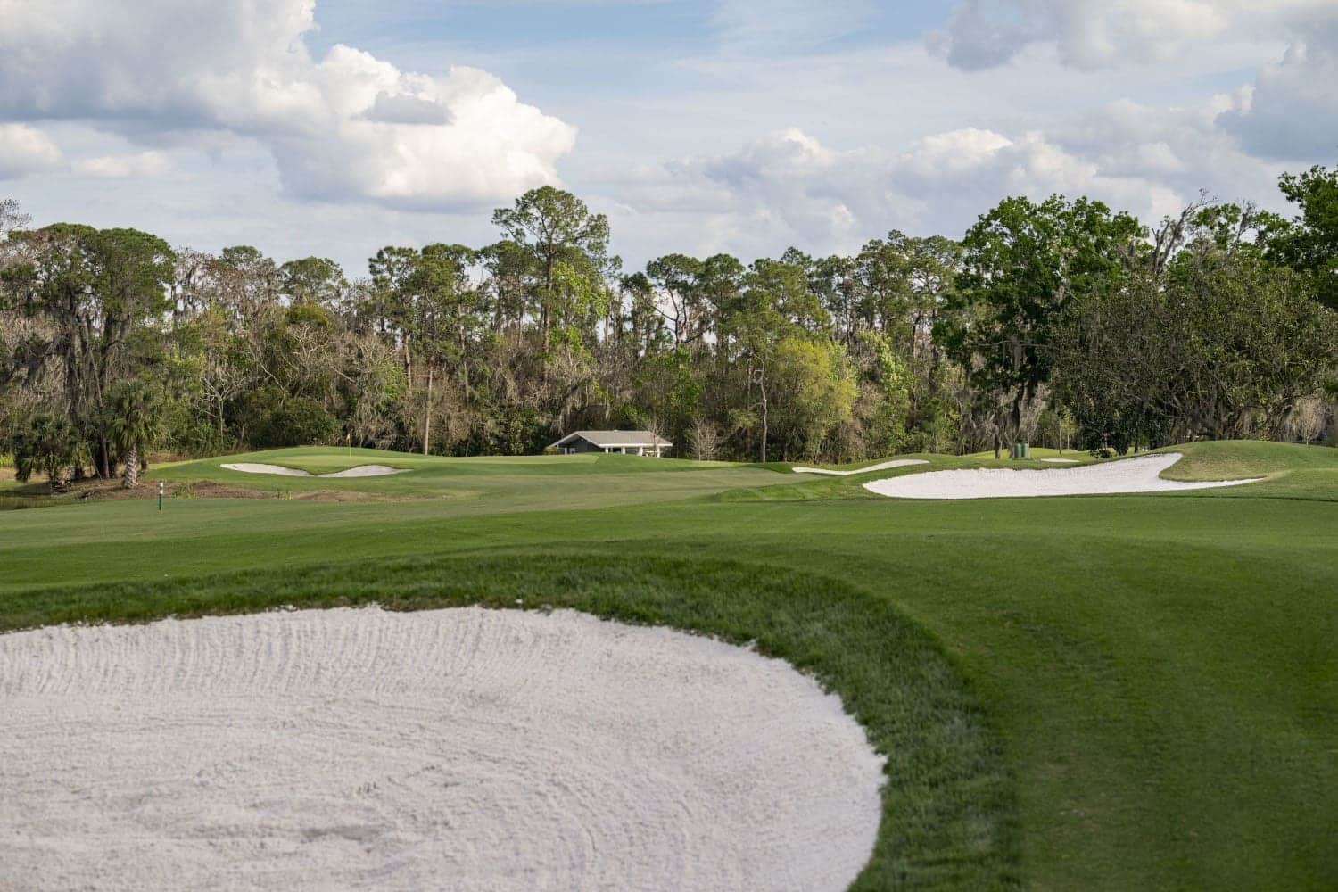 F06C3168 1EBD 4953 B9B7 76091B2FD5A5 Magnolia Golf Course Redesign
