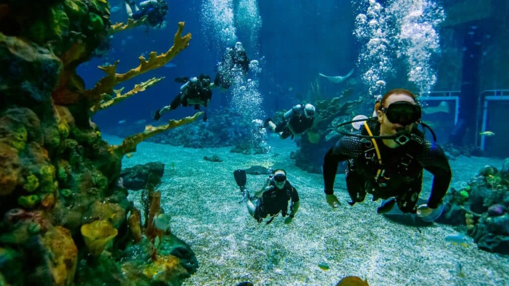 EPCOT DiveQuest Experience