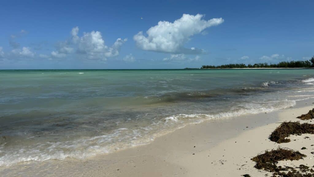 Serenity Bay on a Disney Cruise