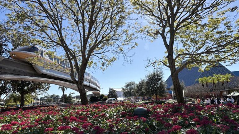 Walt Disney World Is at Capacity: Disney’s CFO Explains What Comes Next