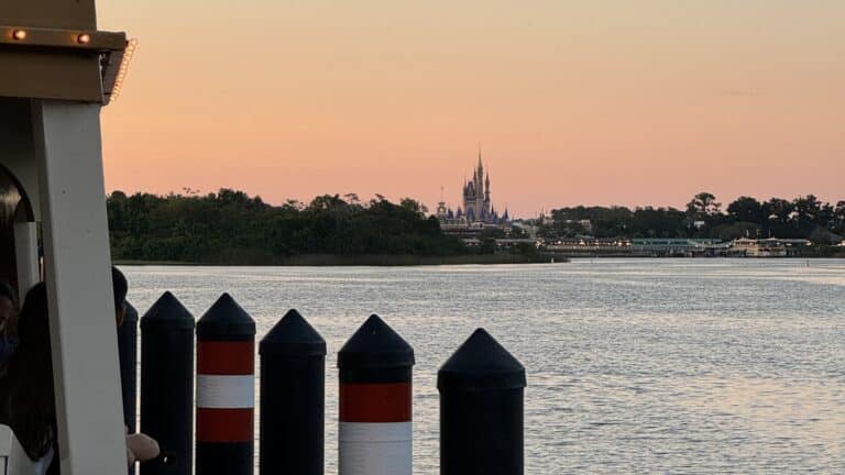 Magic Kingdom Ferry Boat Queue Expansion Gets Green Light from Water Management District