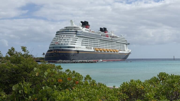 Disney Cruise Line Updates Alcohol Rules, Camera Gear Policy, and Stateroom Decorations Starting June 2026