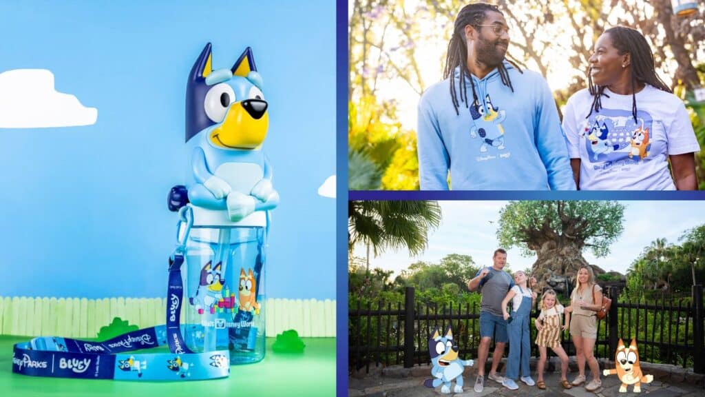 Guide to Bluey's Wild World
