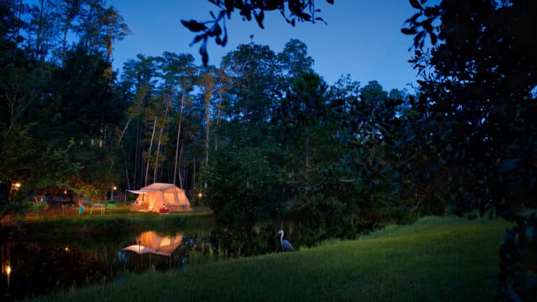 Disney's Fort Wilderness Resort and Campground