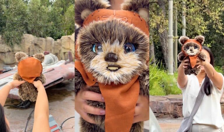 New Ewok Adventure Buddy at Star Wars Galaxy's Edge