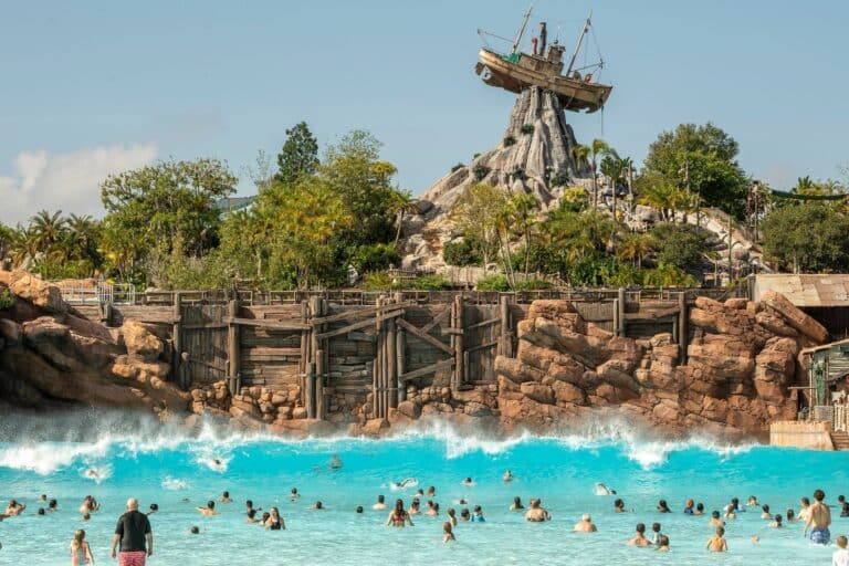 Disney Water Park Seasonal Pass at Walt Disney World