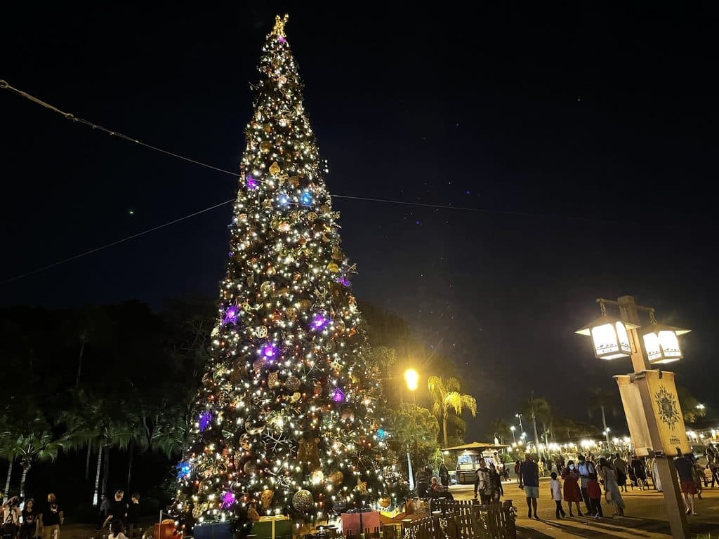 73376C01 9A76 40E2 BCA0 C779EA6DCA3A 1 102 o Santa's Holiday Grove