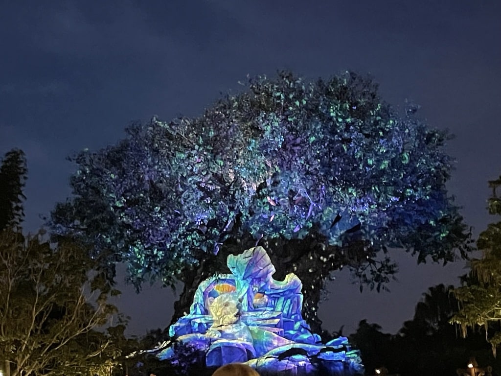 Tree of Life Awakenings Returns